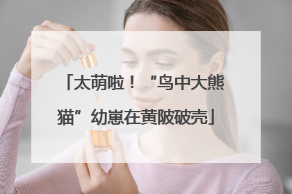 太萌啦！“鸟中大熊猫”幼崽在黄陂破壳