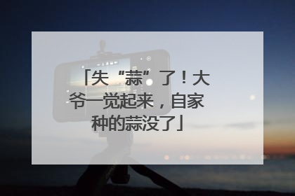 失“蒜”了！大爷一觉起来，自家种的蒜没了
