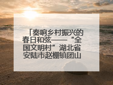 奏响乡村振兴的春日和弦——“全国文明村”湖北省安陆市赵棚镇团山村农文旅融合发展见闻