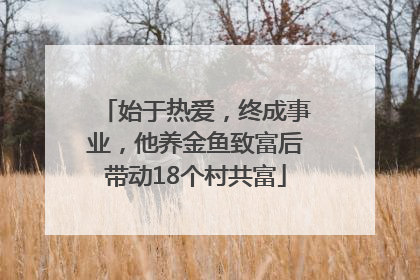 始于热爱，终成事业，他养金鱼致富后带动18个村共富