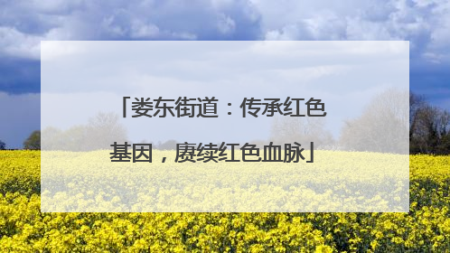 娄东街道：传承红色基因，赓续红色血脉