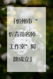 忻州市“忻青苗名师工作室”揭牌成立