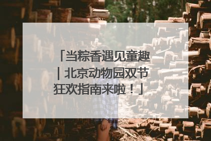 当粽香遇见童趣｜北京动物园双节狂欢指南来啦！