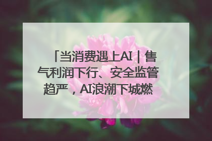 当消费遇上AI｜售气利润下行、安全监管趋严，AI浪潮下城燃企业如何破局
