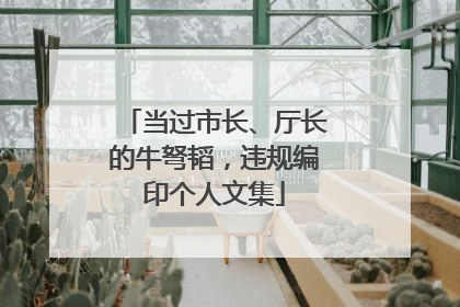 当过市长、厅长的牛弩韬，违规编印个人文集