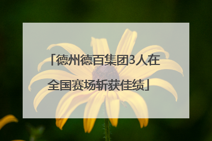 德州德百集团3人在全国赛场斩获佳绩