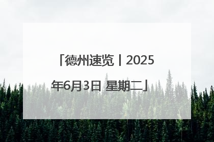 德州速览丨2025年6月3日 星期二