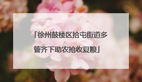 徐州鼓楼区拾屯街道多管齐下助农抢收夏粮