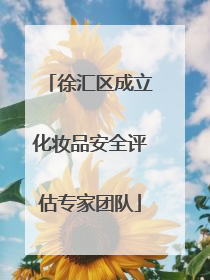 徐汇区成立化妆品安全评估专家团队