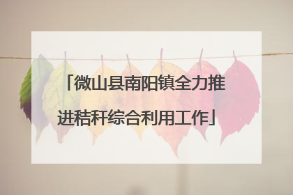 微山县南阳镇全力推进秸秆综合利用工作