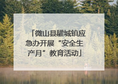 微山县驩城镇应急办开展“安全生产月”教育活动