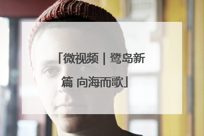 微视频｜鹭岛新篇 向海而歌