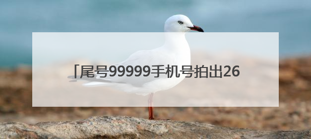 尾号99999手机号拍出26.13万元，溢价率超160%