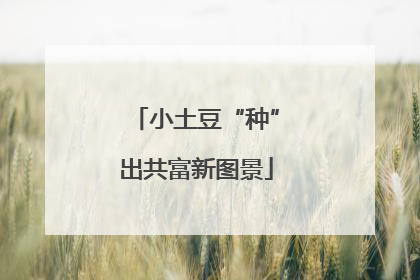 小土豆“种”出共富新图景