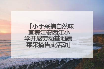 小手采摘自然味 宜宾江安西江小学开展劳动基地蔬菜采摘售卖活动