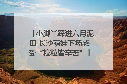 小脚丫踩进六月泥田 长沙萌娃下场感受“粒粒皆辛苦”
