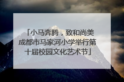 小马奔腾，致和尚美 成都市马家河小学举行第十届校园文化艺术节