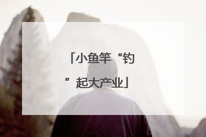 小鱼竿“钓”起大产业
