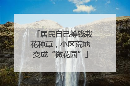 居民自己筹钱栽花种草，小区荒地变成“微花园”