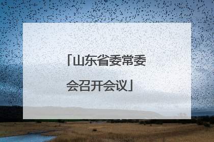 山东省委常委会召开会议