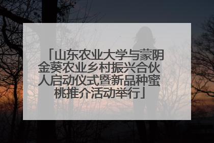 山东农业大学与蒙阴金葵农业乡村振兴合伙人启动仪式暨新品种蜜桃推介活动举行