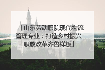 山东劳动职院现代物流管理专业：打造乡村振兴职教改革齐鲁样板