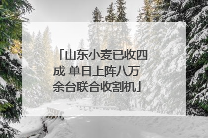 山东小麦已收四成 单日上阵八万余台联合收割机