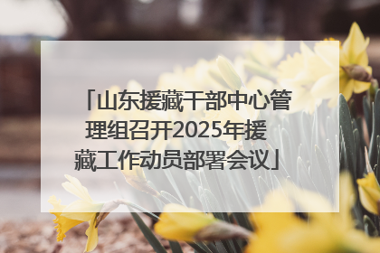 山东援藏干部中心管理组召开2025年援藏工作动员部署会议
