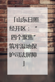 山东日照经开区：“四个聚焦”筑牢湿地保护司法屏障