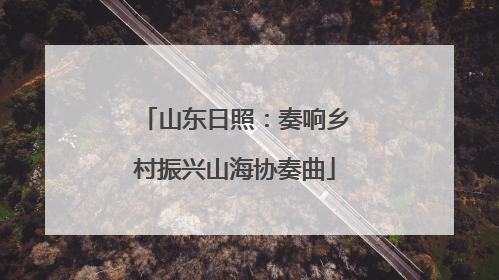 山东日照：奏响乡村振兴山海协奏曲