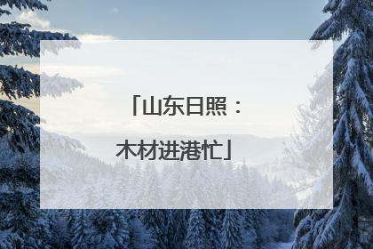 山东日照：木材进港忙