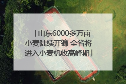 山东6000多万亩小麦陆续开镰 全省将进入小麦机收高峰期