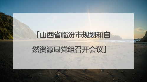 山西省临汾市规划和自然资源局党组召开会议