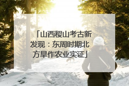 山西稷山考古新发现：东周时期北方旱作农业实证