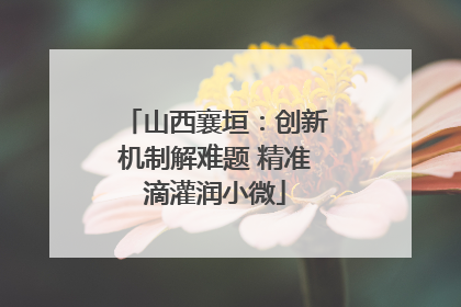 山西襄垣：创新机制解难题 精准滴灌润小微