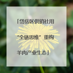岱岳区供销社用“全链思维”重构羊肉产业生态