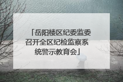 岳阳楼区纪委监委召开全区纪检监察系统警示教育会