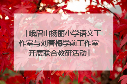 峨眉山杨丽小学语文工作室与刘春梅学前工作室开展联合教研活动