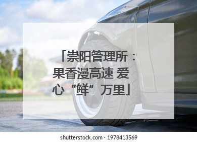 崇阳管理所：果香漫高速 爱心“鲜”万里