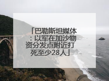 巴勒斯坦媒体：以军在加沙物资分发点附近打死至少28人