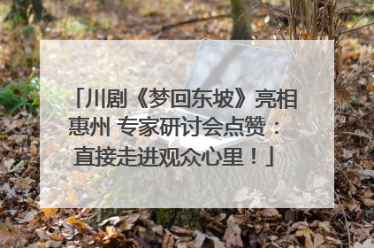 川剧《梦回东坡》亮相惠州 专家研讨会点赞：直接走进观众心里！