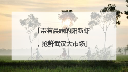 带着晨露的阳新虾，抢鲜武汉大市场