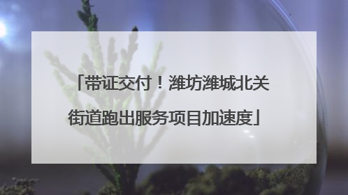 带证交付！潍坊潍城北关街道跑出服务项目加速度