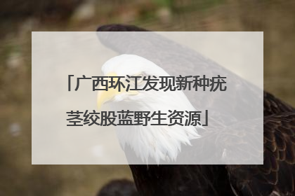 广西环江发现新种疣茎绞股蓝野生资源