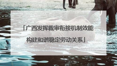 广西发挥裁审衔接机制效能 构建和谐稳定劳动关系