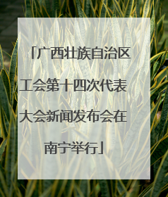 广西壮族自治区工会第十四次代表大会新闻发布会在南宁举行