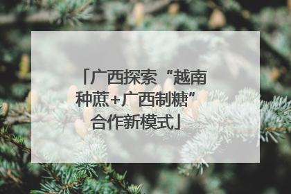 广西探索“越南种蔗+广西制糖”合作新模式