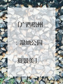 广西梧州：湿地公园夏景美