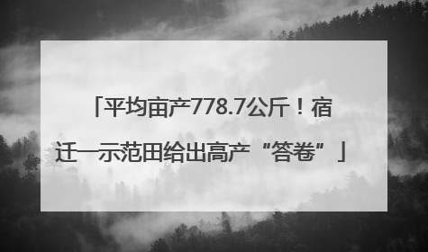 平均亩产778.7公斤！宿迁一示范田给出高产“答卷”