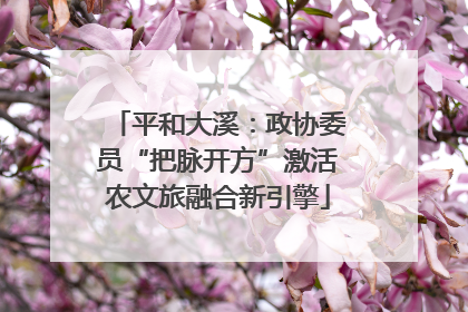 平和大溪：政协委员“把脉开方”激活农文旅融合新引擎
